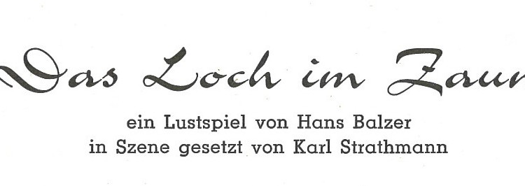 Das Loch im Zaun