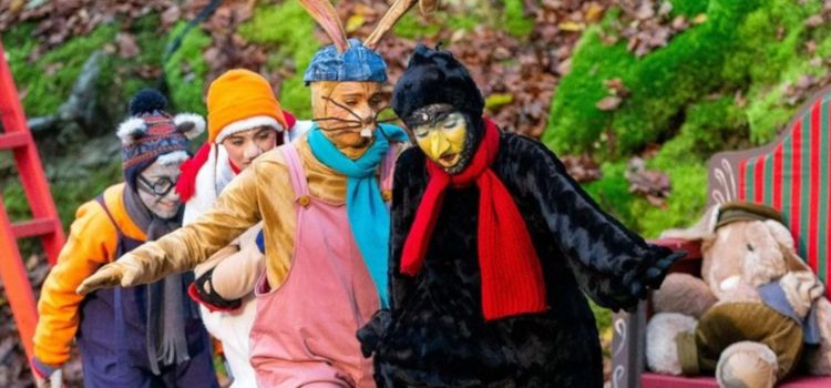 Alles Weihnachten mit dem Kleinen Raben Socke